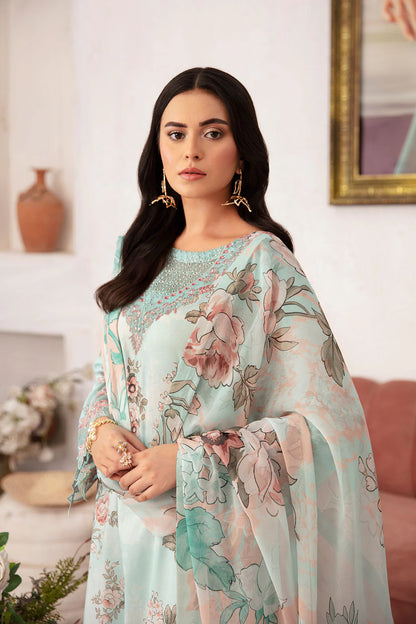 Ramsha Rangrez N-709