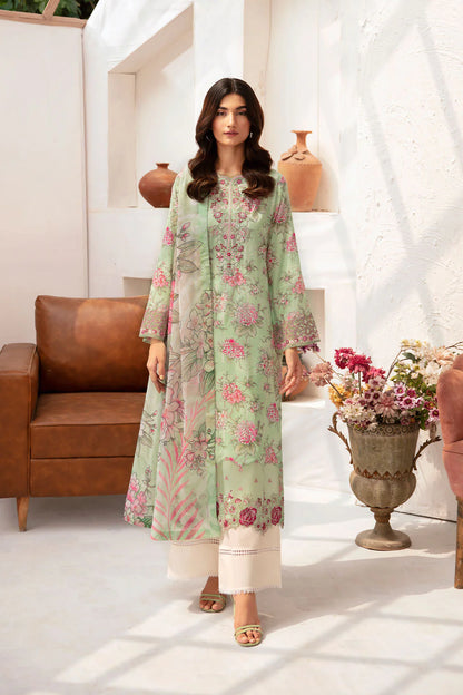 Ramsha Rangrez N-