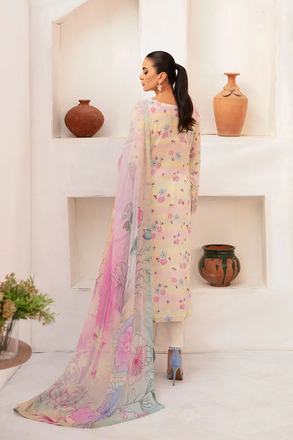 Ramsha Rangrez N-704