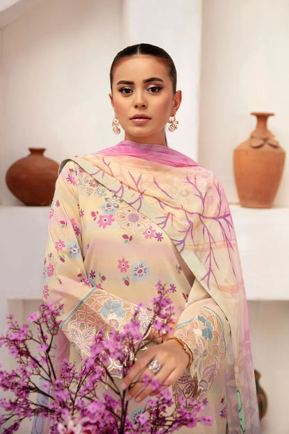 Ramsha Rangrez N-704
